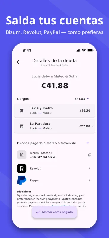 SplitPal debt details settlement matrix screenshot