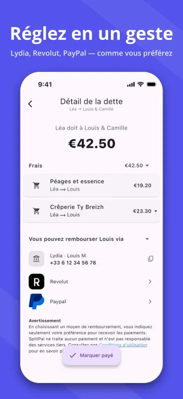 SplitPal debt details settlement matrix screenshot