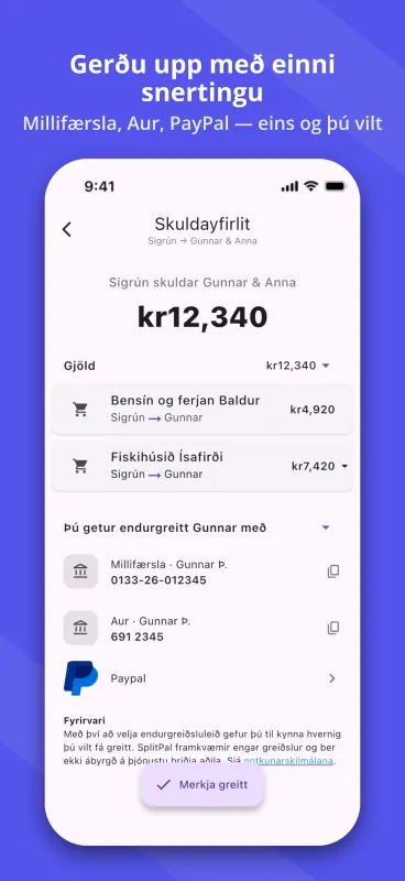 SplitPal debt details settlement matrix screenshot