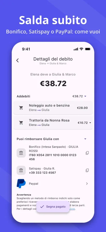 SplitPal debt details settlement matrix screenshot