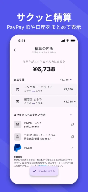 SplitPal debt details settlement matrix screenshot