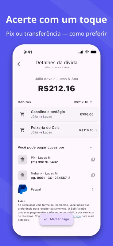 SplitPal debt details settlement matrix screenshot