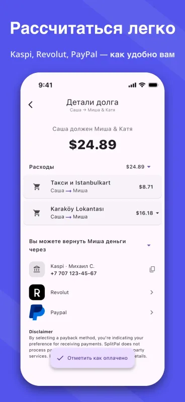 SplitPal debt details settlement matrix screenshot